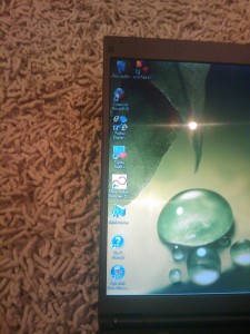 Fujitsu S6520 near-borderless screen