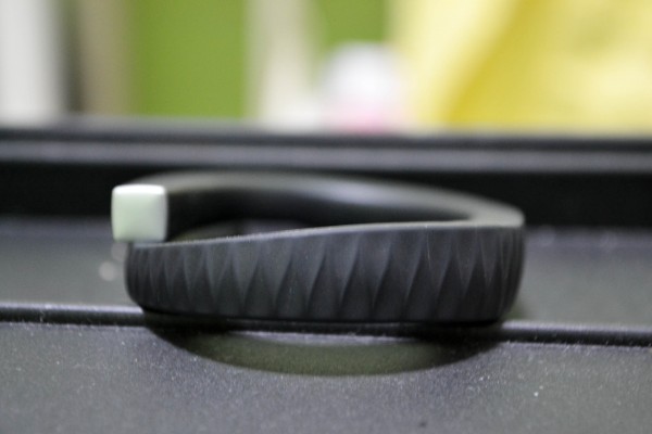 Bands-0490