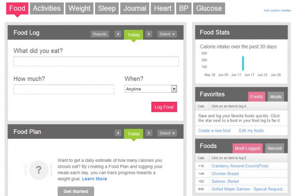 fitbit log