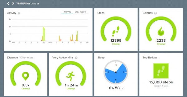 fitbit site