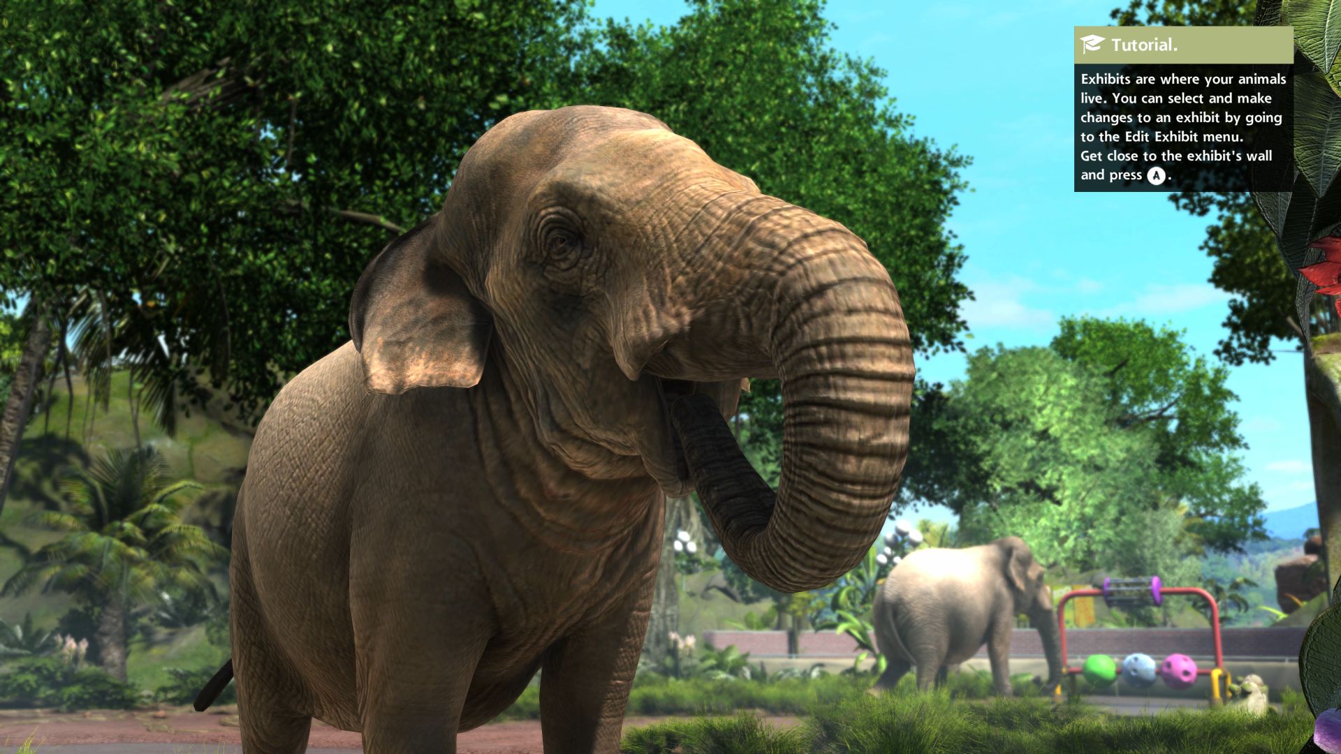 Zoo Tycoon: Ultimate Animal Collection Q&A - Xbox Wire