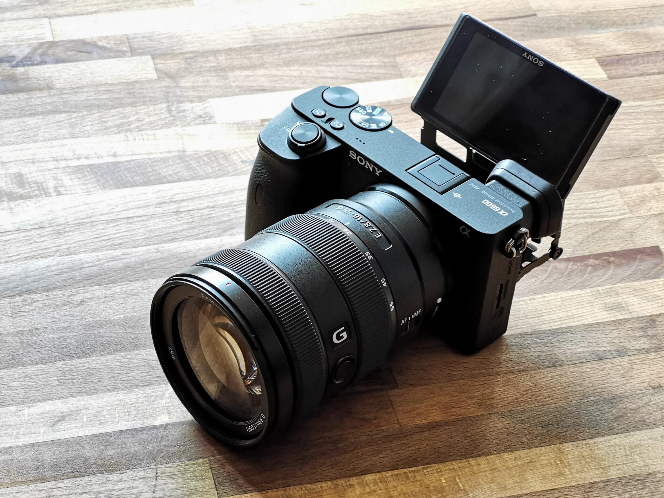 Goondu review: Sony Alpha 6600 - Techgoondu