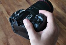Goondu review: Canon EOS R6 looks promising, let down by video capabilities