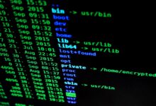 Cybersecurity hygiene key to keeping cyber threats at bay, say experts