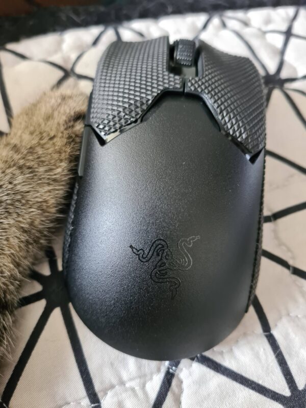 Razer Viper V2 Pro review: Why is this mouse controversial?