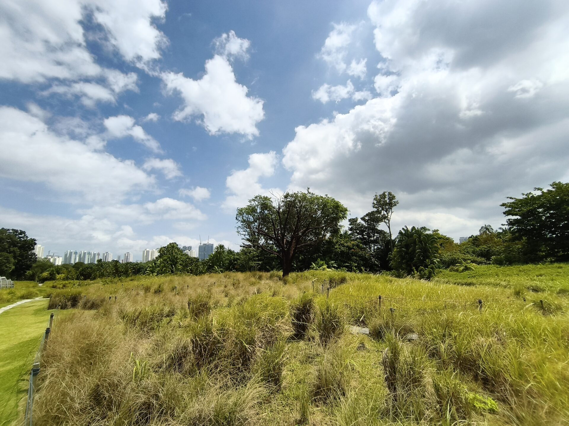 IMG 20260110 132120910