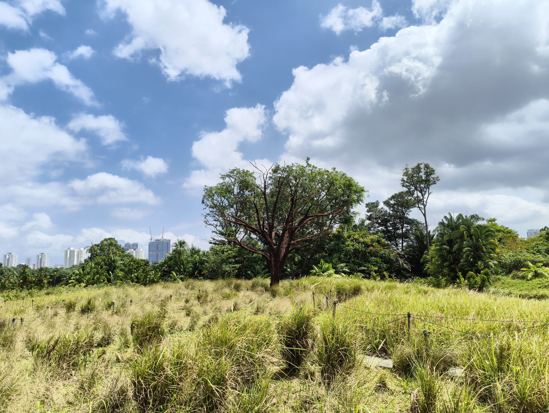 IMG 20260110 132127988