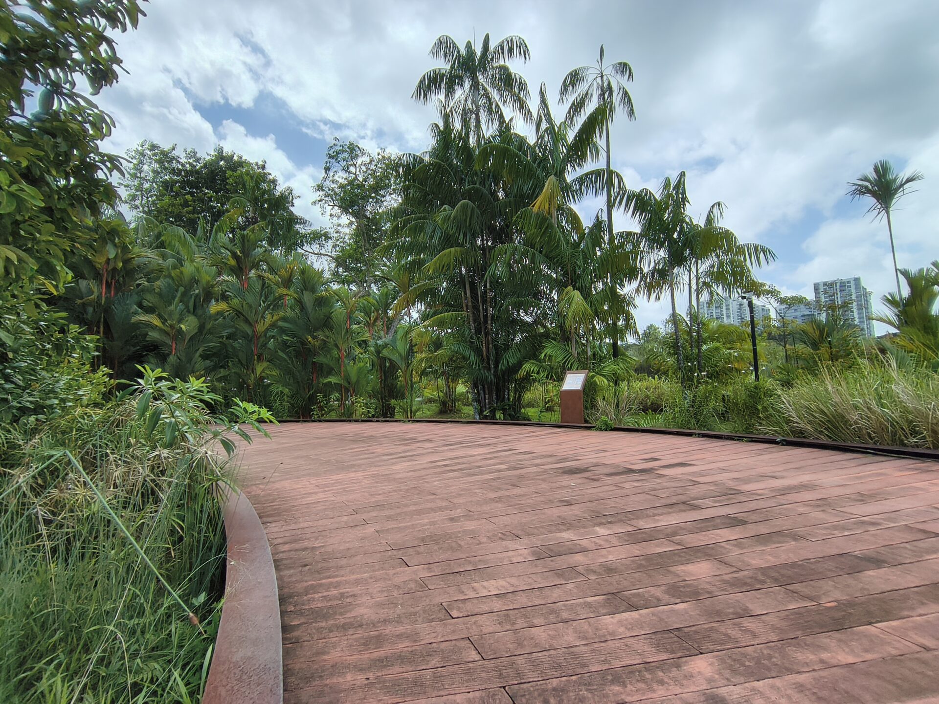 IMG 20260110 132649298