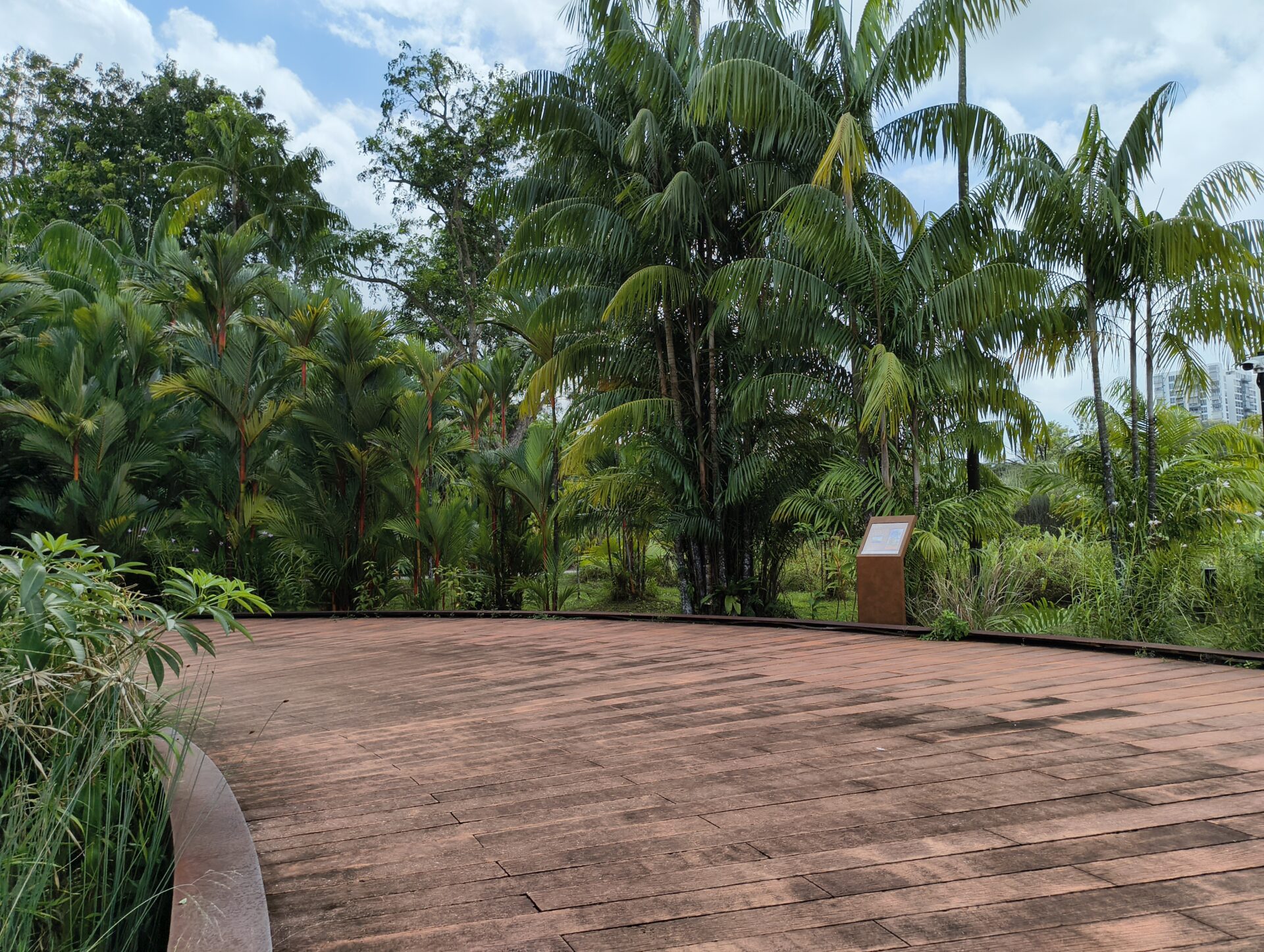 IMG 20260110 132652645