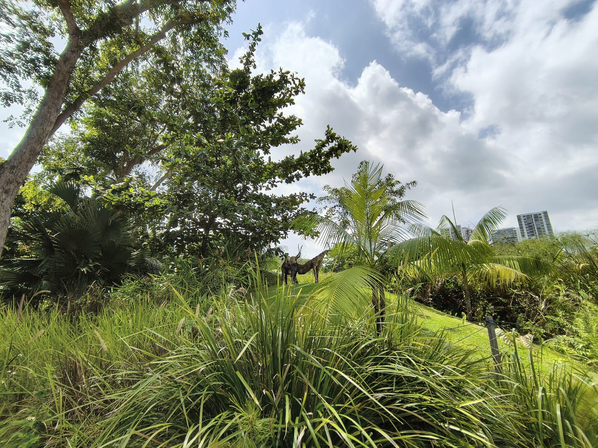 IMG 20260110 133124008