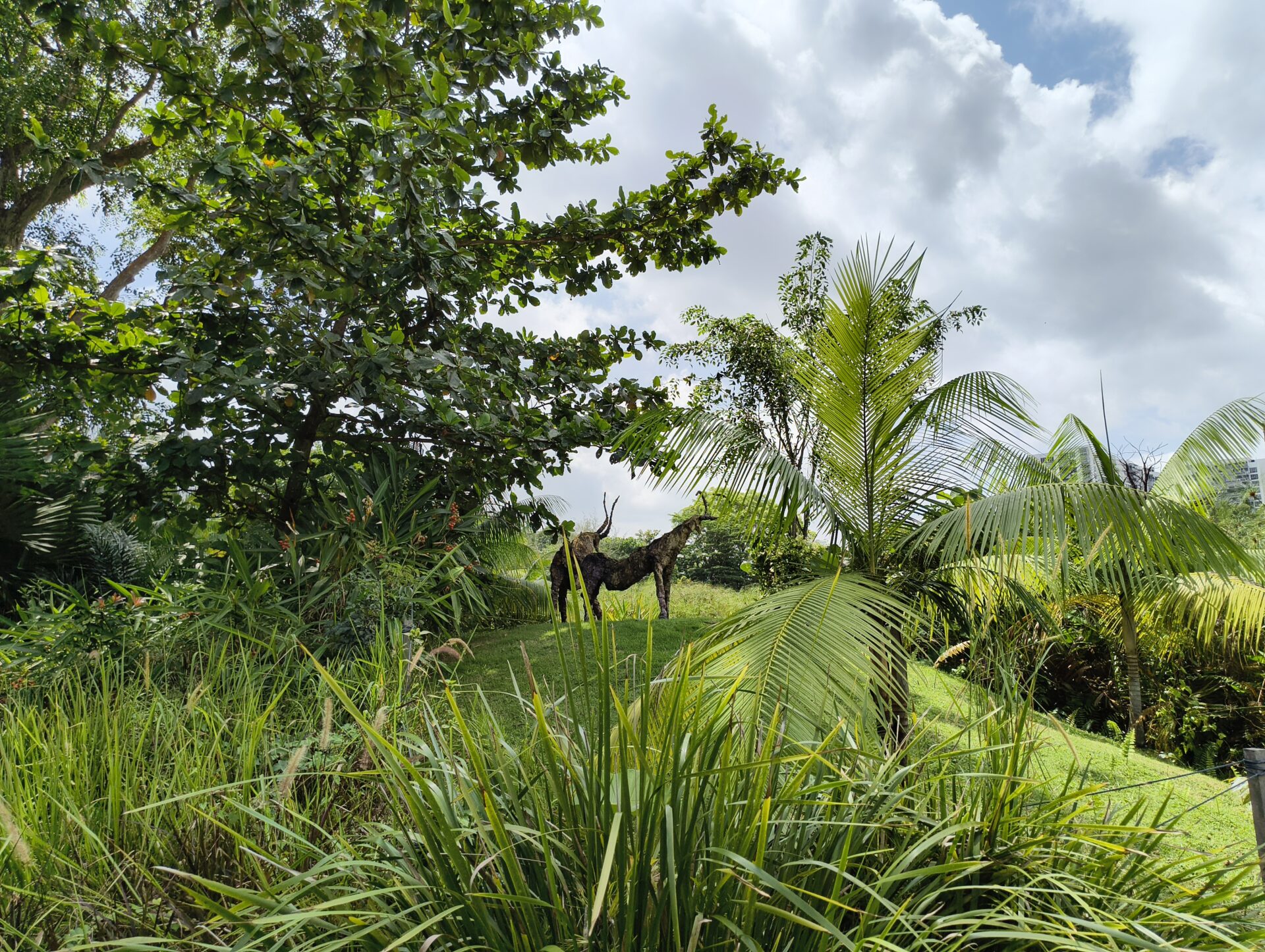 IMG 20260110 133132382