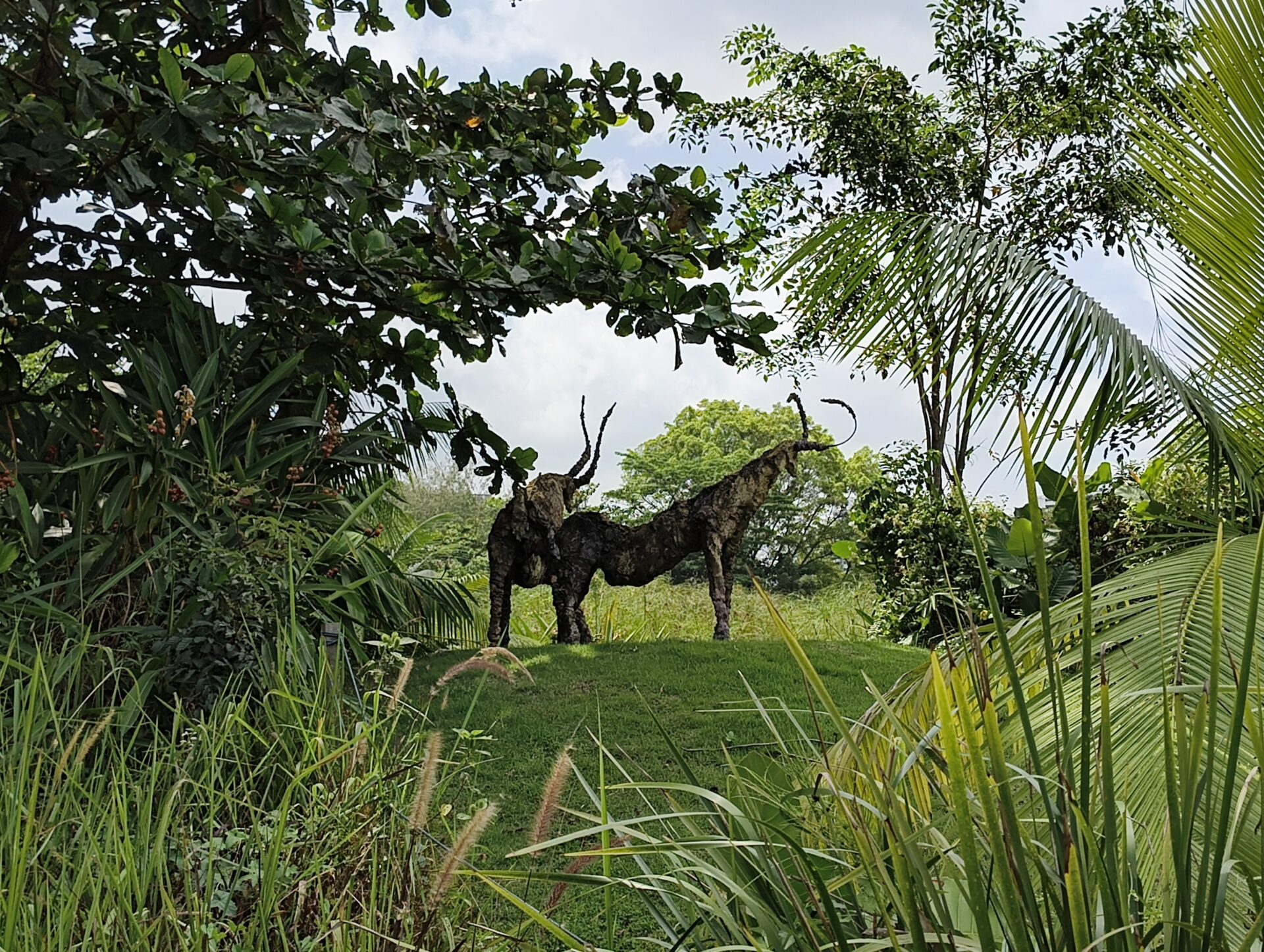 IMG 20260110 133145617