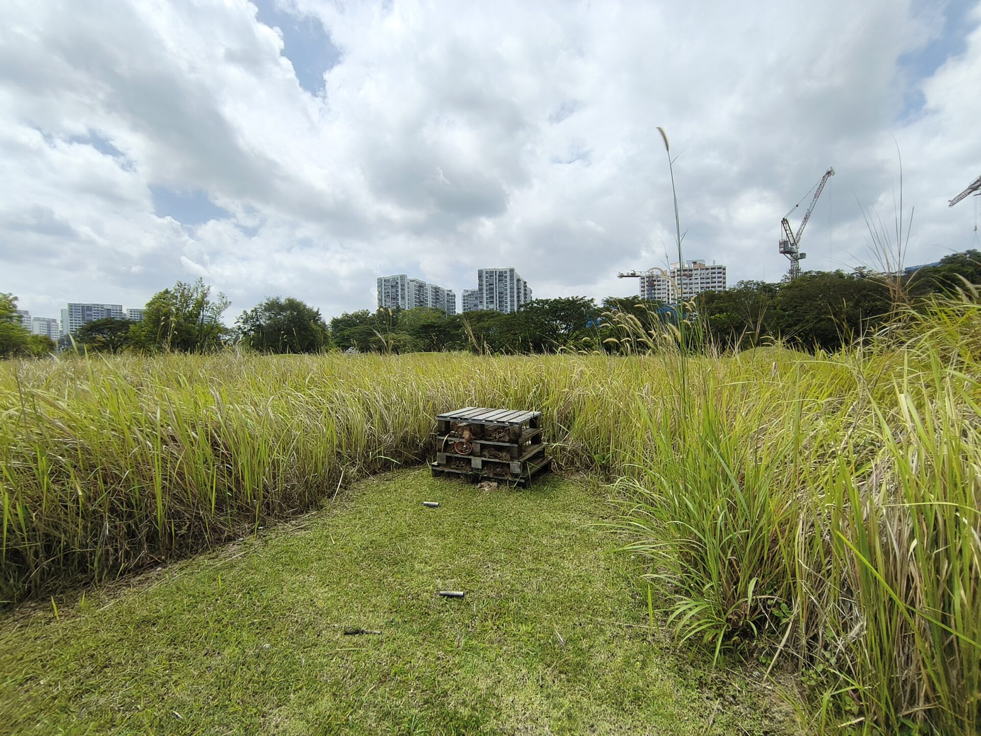 IMG 20260110 133324387