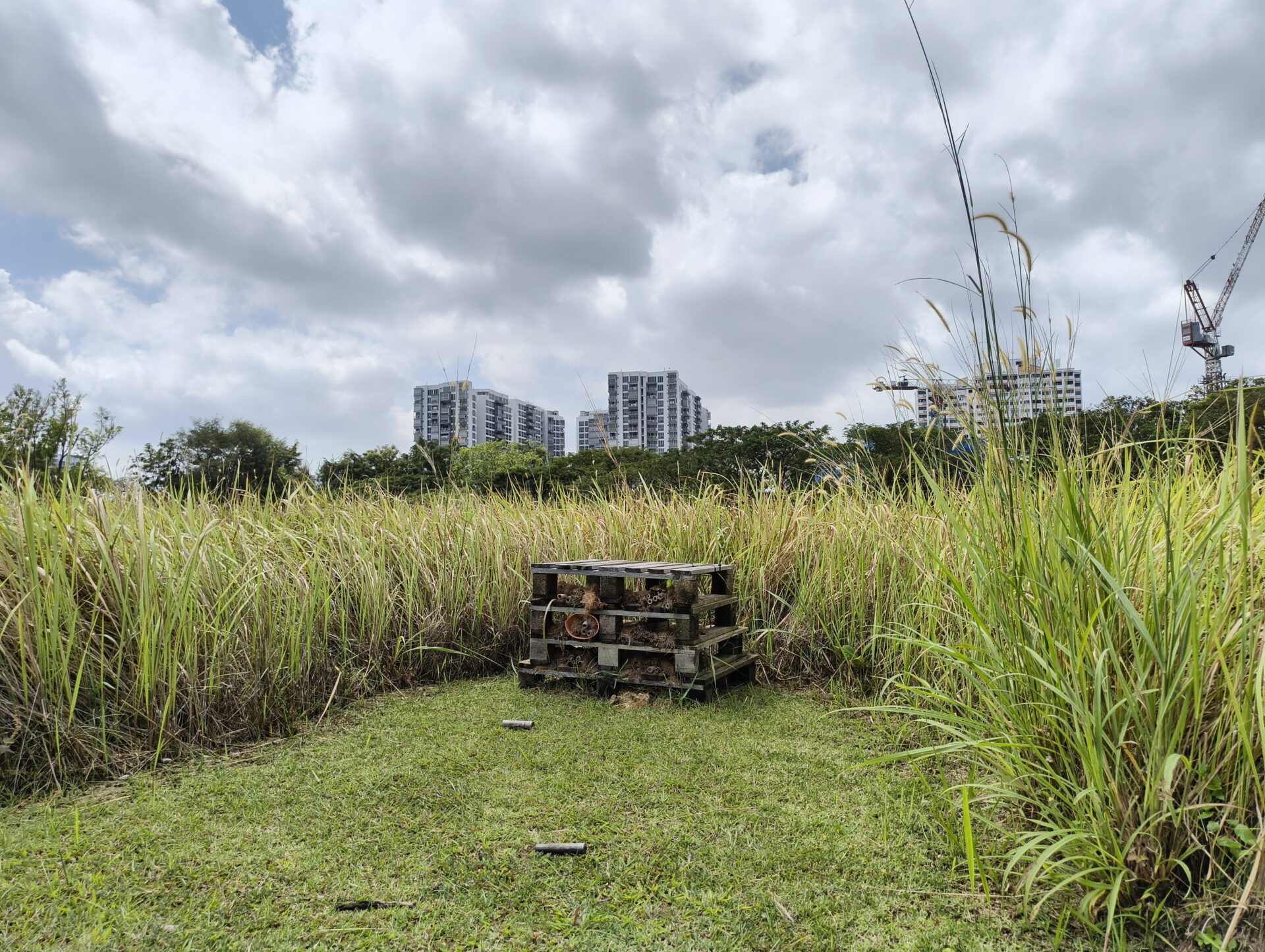 IMG 20260110 133339115